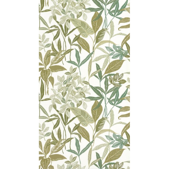 PAPEL PINTADO CASELIO GREEN & CO SANTIAGO VER/BL