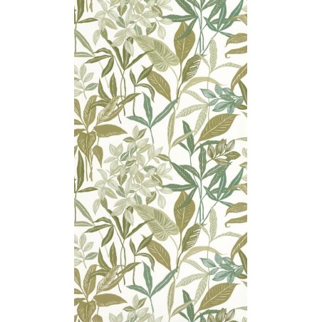 PAPEL PINTADO CASELIO GREEN & CO SANTIAGO VER/BL