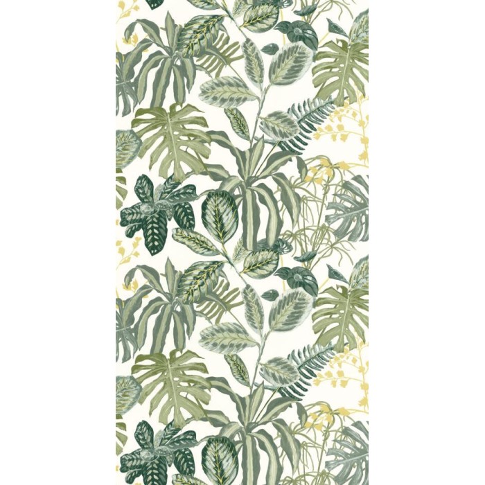 PAPEL PINTADO CASELIO GREEN & CO MANAUS BL/VER