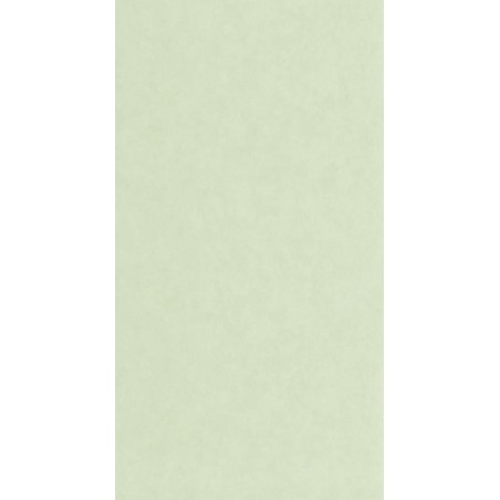 PAPEL PINTADO CASADECO ECHAPPEE VALLAURIS MINT