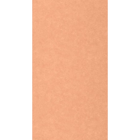 PAPEL PINTADO CASELIO AZUR CERAMIQUE NARANJA