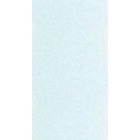 PAPEL PINTADO CASELIO AZUR CERAMIQUE CELESTE