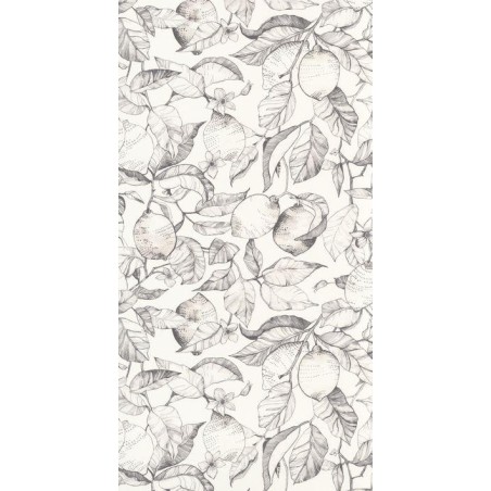 PAPEL PINTADO CASADECO SOLIFLORE LEMON TREE BL/GR