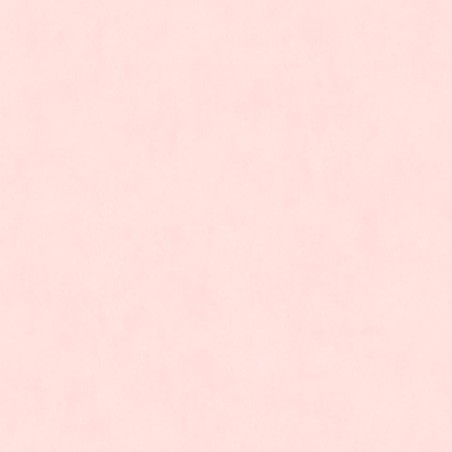 PAPEL PINTADO LA MAISON TARTINE ET CHOCOLAT FLAMEN