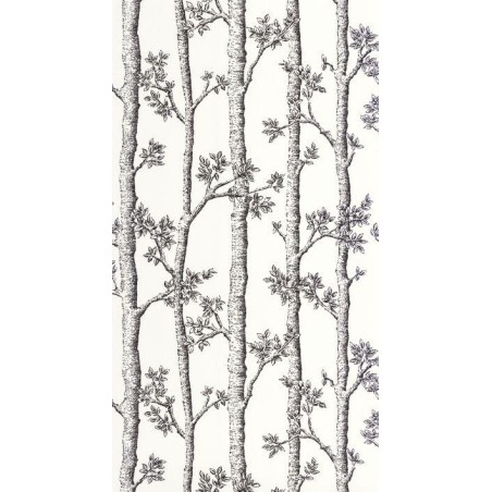 PAPEL PINTADO CASELIO BALADE AUTOMNE BL/NEG