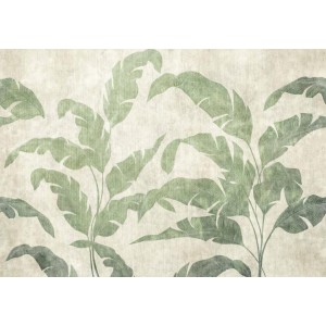 MURAL COORDONNE BERBER LEAVES SHADOW LEAVES