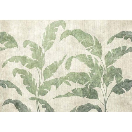 MURAL COORDONNE BERBER LEAVES SHADOW LEAVES