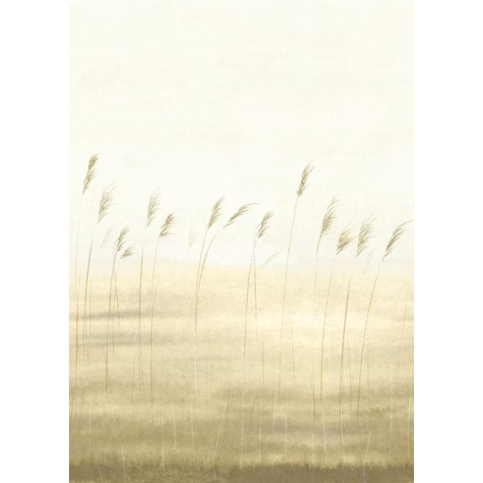 MURAL CASADECO SENTIER DES DUNES JONC DES DUNES M