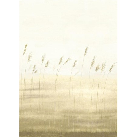 MURAL CASADECO SENTIER DES DUNES JONC DES DUNES M