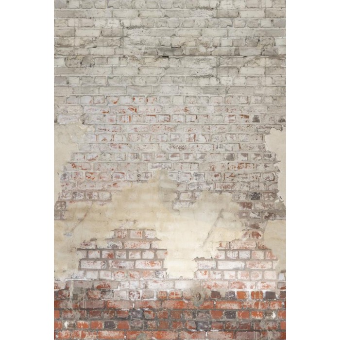 MURAL CASELIO RELIEFS BRICK WALL L MA/GR