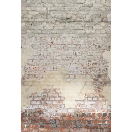 MURAL CASELIO RELIEFS BRICK WALL L MA/GR