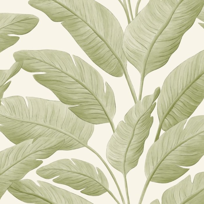 PAPEL PINTADO CASELIO BORNEO TROPICALIA VER/BL