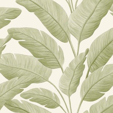 PAPEL PINTADO CASELIO BORNEO TROPICALIA VER/BL