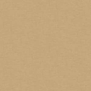 PAPEL PINTADO CASELIO MOONLIGHTII UNI GAZE MARRÓN