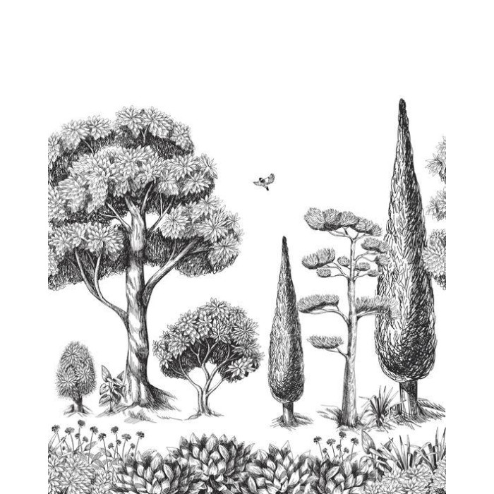 MURAL CASELIO MOONLIGHTII MENTON NEG/BEIG