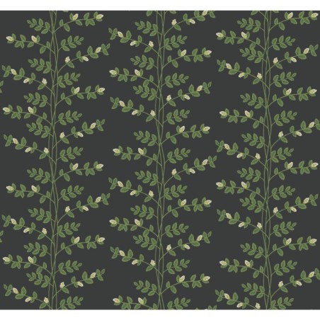 PAPEL PINTADO YORK RIFLE 3 CLIMBING VINE NEG/VER