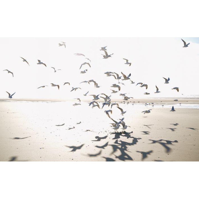 MURAL CASADECO SEASIDE  HOULGATE S GRIS