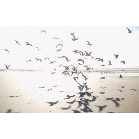 MURAL CASADECO SEASIDE  HOULGATE S GRIS