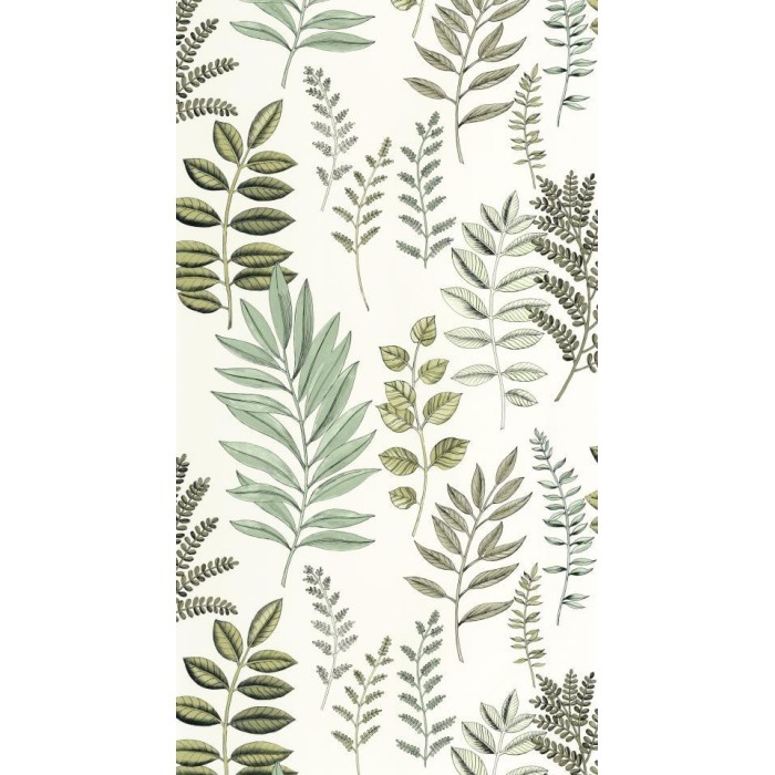 PAPEL PINTADO CASELIO ART OF BOTANY FLORIUM VER/BL