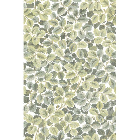 PAPEL PINTADO CASADECO HERITAGE REGENT´S PARK PIST