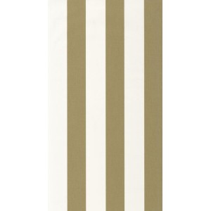 PAPEL PINTADO CASELIO KITCHEN BOX LINES OLIVA