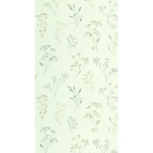 PAPEL PINTADO CASELIO KITCHEN BOX GRAMINEA VERDE