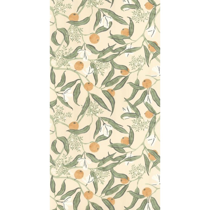 PAPEL PINTADO CASELIO KITCHEN BOX EURYDICE VER/OCR