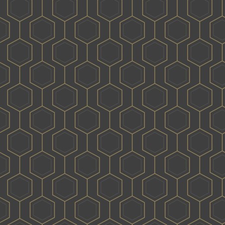 PAPEL PINTADO CASELIO MOONLIGHT3 HEXALINE NE/PL