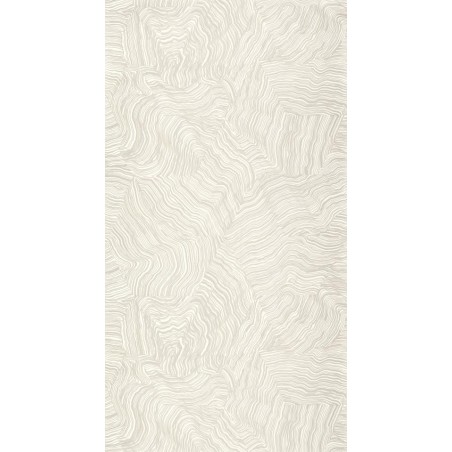 PAPEL PINTADO CASADECO ELIXIR INFUSION CHAMPAGNE 