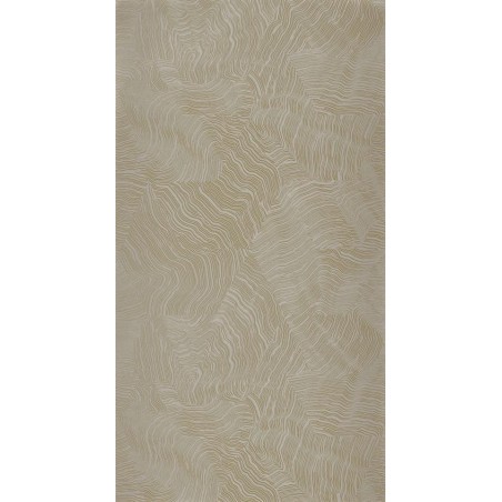 PAPEL PINTADO CASADECO ELIXIR INFUSION VER/PLA