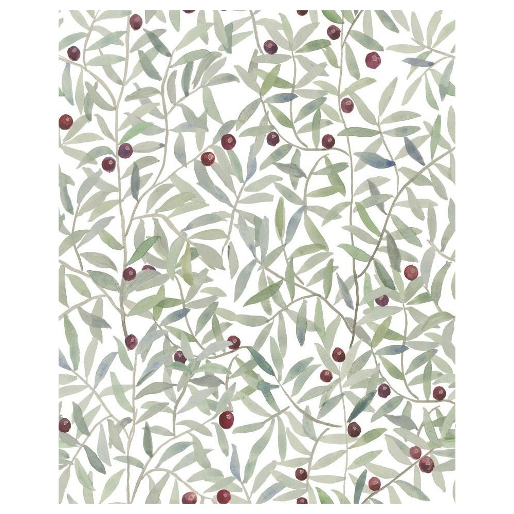 COORDONNE 40AN ANDREA ZARRALUQUI BLANCO/VER/ROJO