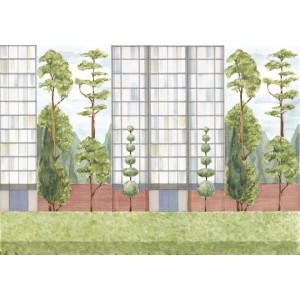 MURAL COORDONNE 40AN PASCUA ORTEGA VERDE/BLAN/GRIS