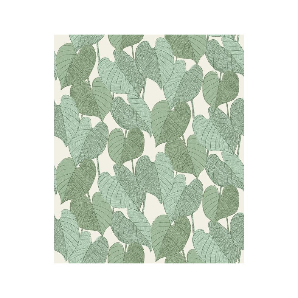 PAPEL PINTADO COORDONNE GOJA HOTA MOSS VERD/MARFIL