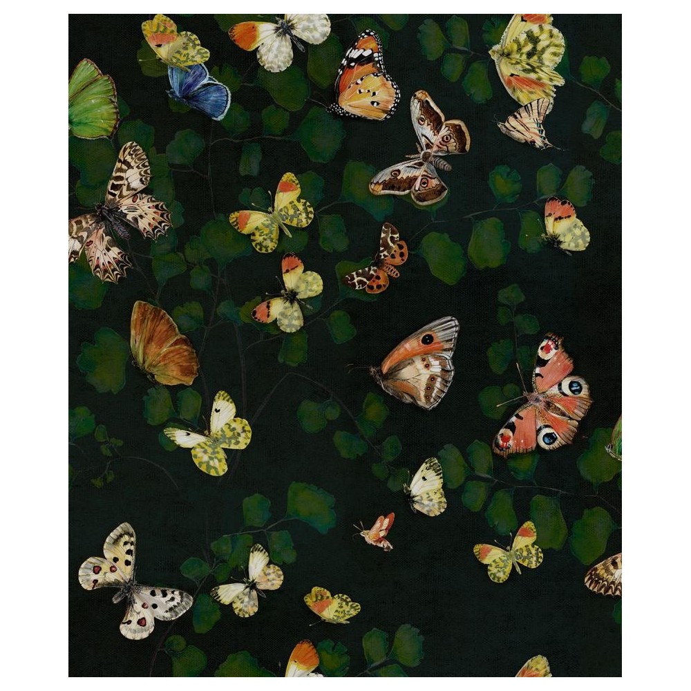 PAPEL PINTADO COORDONNE NATURAE BUTTERFLIES VER/AM
