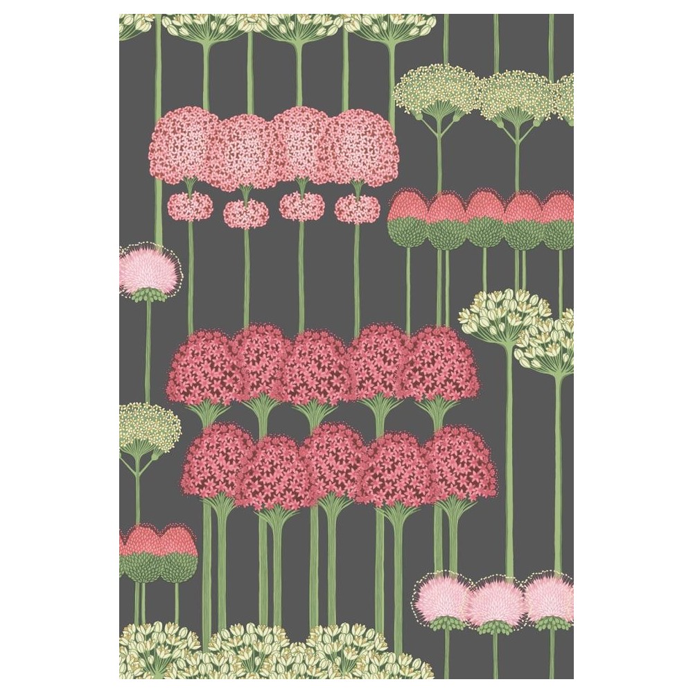 PAPEL PINTADO COLE & SON BOTANICAL ALLIUM NEG/ROS