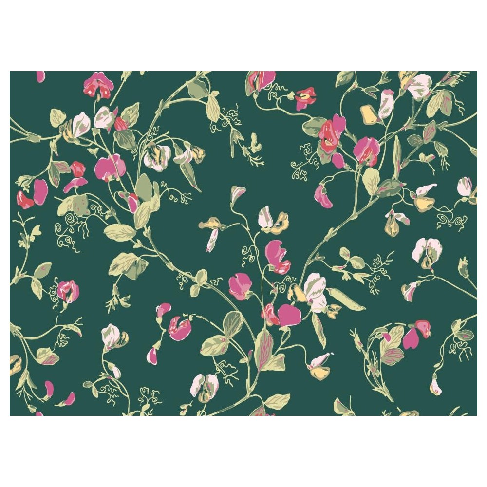 PAPEL PINTADO COLE & SON BOTANICAL SWEET PEA VER